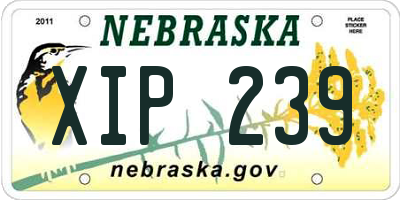 NE license plate XIP239