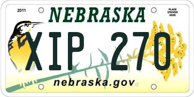 NE license plate XIP270