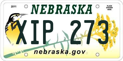 NE license plate XIP273