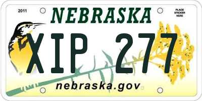 NE license plate XIP277