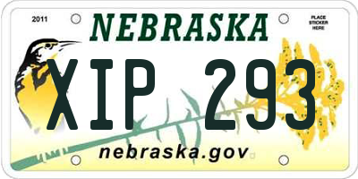 NE license plate XIP293