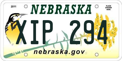 NE license plate XIP294