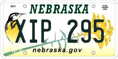 NE license plate XIP295