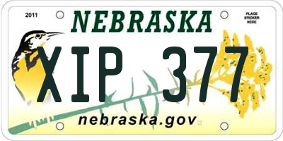 NE license plate XIP377