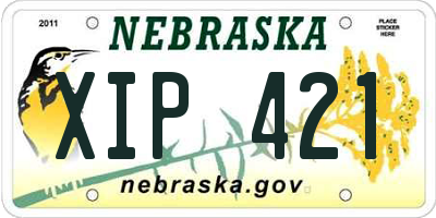 NE license plate XIP421