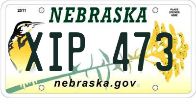 NE license plate XIP473