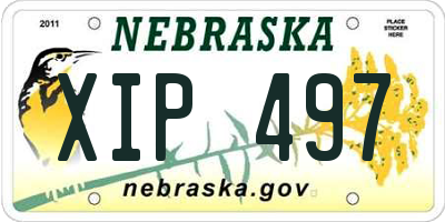 NE license plate XIP497