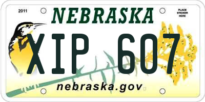 NE license plate XIP607