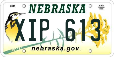 NE license plate XIP613