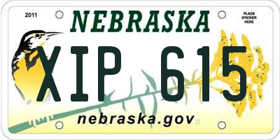 NE license plate XIP615
