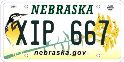 NE license plate XIP667
