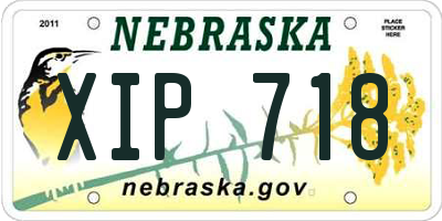 NE license plate XIP718