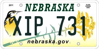 NE license plate XIP731