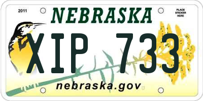 NE license plate XIP733