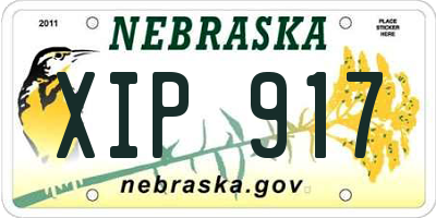NE license plate XIP917