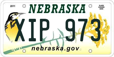 NE license plate XIP973