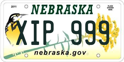 NE license plate XIP999