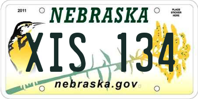 NE license plate XIS134