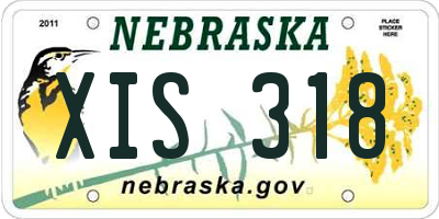 NE license plate XIS318