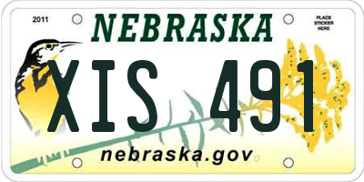NE license plate XIS491