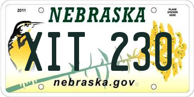 NE license plate XIT230