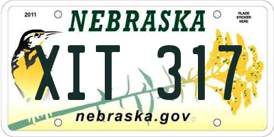 NE license plate XIT317