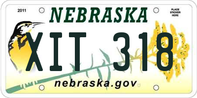 NE license plate XIT318