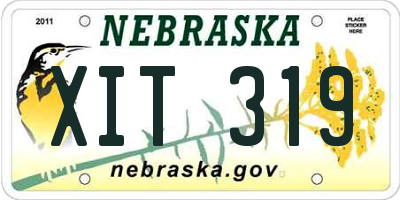 NE license plate XIT319