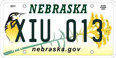NE license plate XIU013