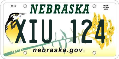 NE license plate XIU124