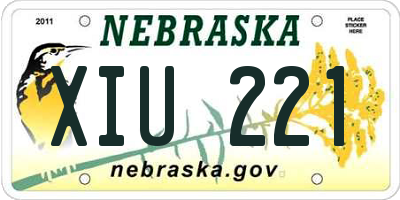 NE license plate XIU221
