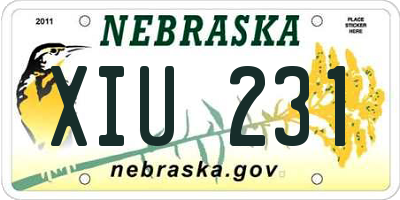 NE license plate XIU231