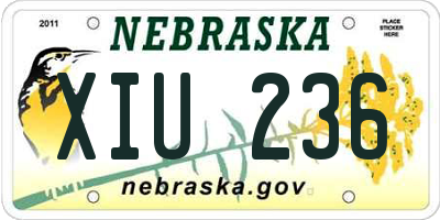 NE license plate XIU236
