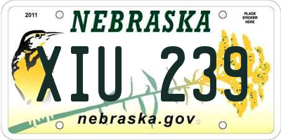 NE license plate XIU239