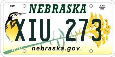 NE license plate XIU273