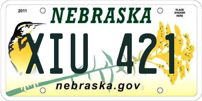 NE license plate XIU421