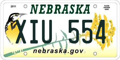 NE license plate XIU554
