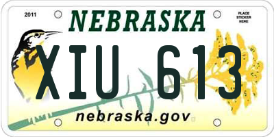 NE license plate XIU613