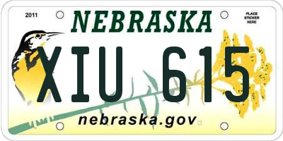 NE license plate XIU615