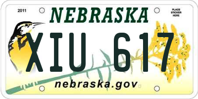 NE license plate XIU617
