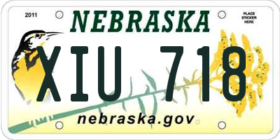 NE license plate XIU718