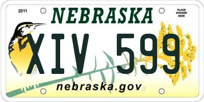 NE license plate XIV599