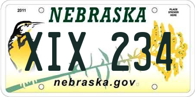 NE license plate XIX234