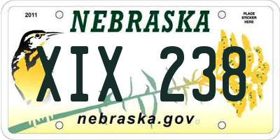 NE license plate XIX238