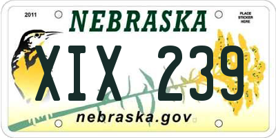 NE license plate XIX239
