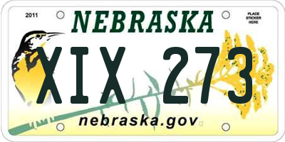 NE license plate XIX273