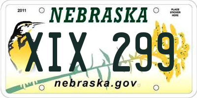 NE license plate XIX299