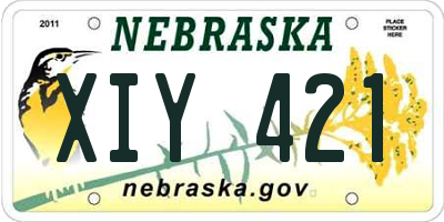 NE license plate XIY421