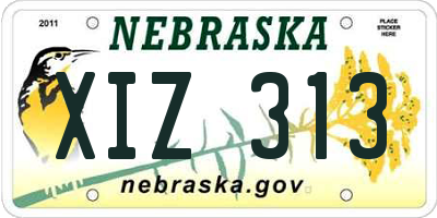 NE license plate XIZ313