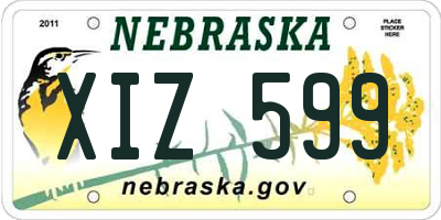 NE license plate XIZ599